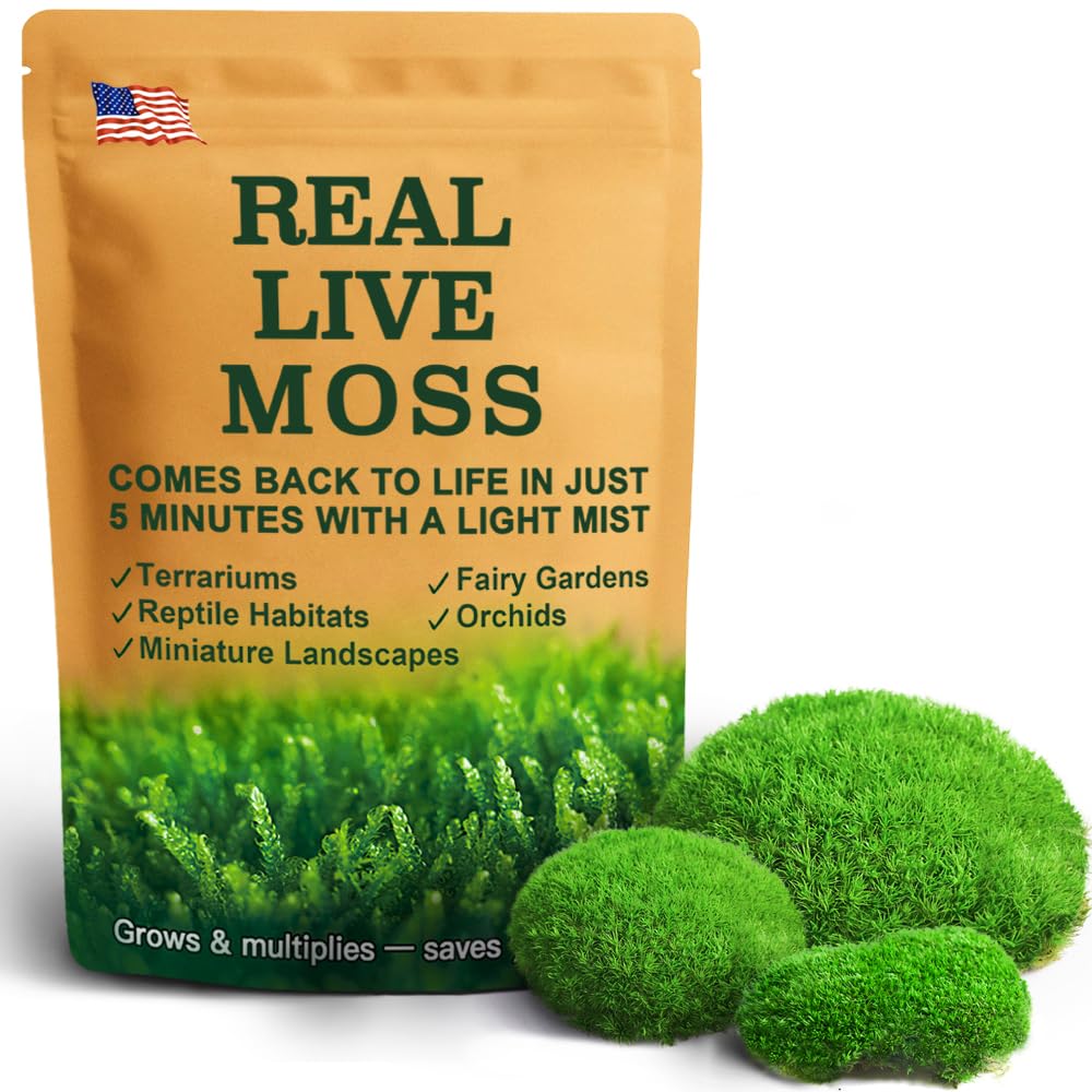 Amazon.com: Fresh Real Live Moss Variety Pack for Orchids & Mini